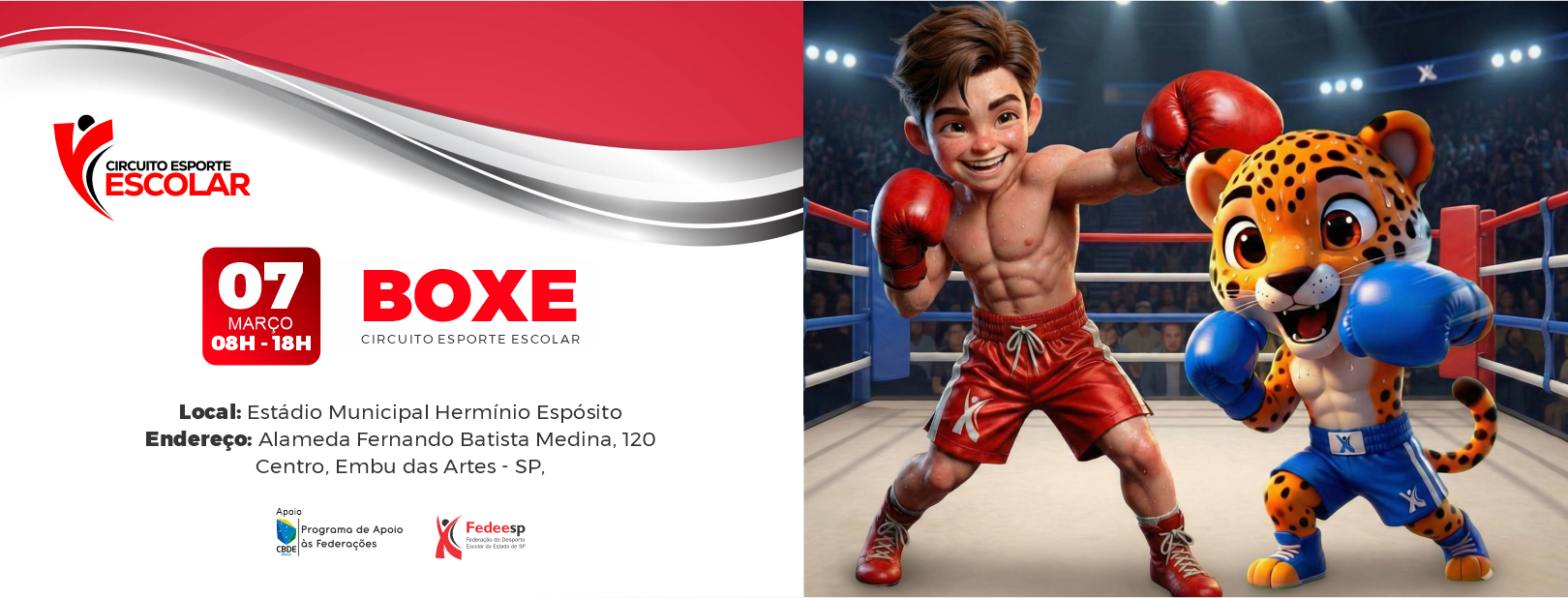 Banner-Boxe-site