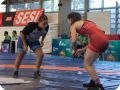 IMG 3661