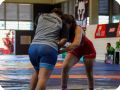 IMG 3668