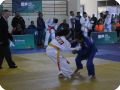 IMG 7719