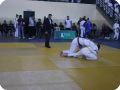 IMG 7737