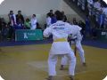 IMG 7742