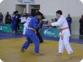 IMG 7744