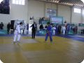 IMG 7768