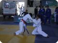 IMG 7776
