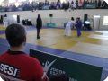 IMG 7810