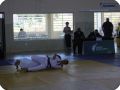 IMG 7818