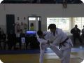 IMG 7822