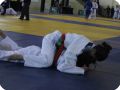 IMG 7844