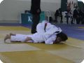 IMG 7847