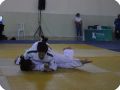 IMG 7849