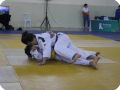 IMG 7850