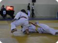 IMG 7852
