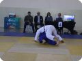 IMG 7856