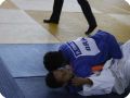 IMG 7857