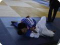 IMG 7859