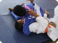 IMG 7861