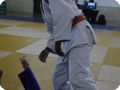 IMG 7866
