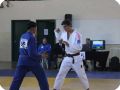 IMG 7884