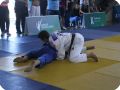 IMG 7895