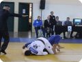 IMG 7899