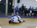 IMG 7900