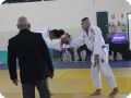 IMG 7906