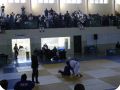 IMG 7908