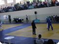 IMG 7910