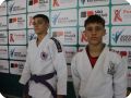 IMG 7952