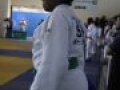 IMG 7981