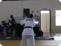 IMG 7986