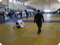 IMG 7988