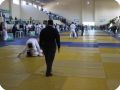 IMG 7989