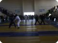 IMG 7990