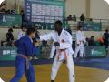 IMG 7992