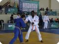 IMG 7993