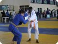 IMG 7994