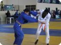 IMG 7995