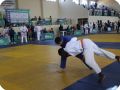 IMG 7996