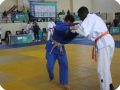 IMG 7997