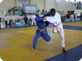 IMG 7998