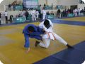 IMG 7999