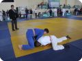 IMG 8000