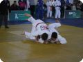 IMG 8007