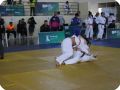IMG 8009