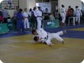 IMG 8010