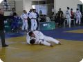 IMG 8011
