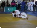 IMG 8013