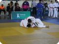 IMG 8014